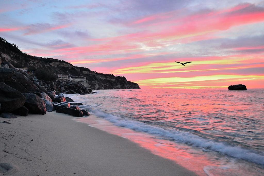 Borgo Di Riaci Beach Resort Santa Domenica  Dış mekan fotoğraf